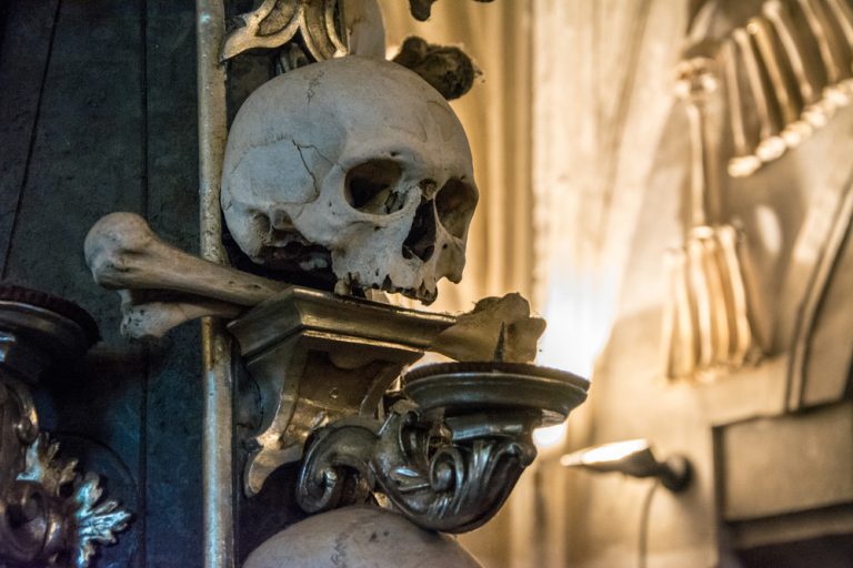 Skull at Sedlec Ossuary, Kutna Hora, Czech Republic Trip