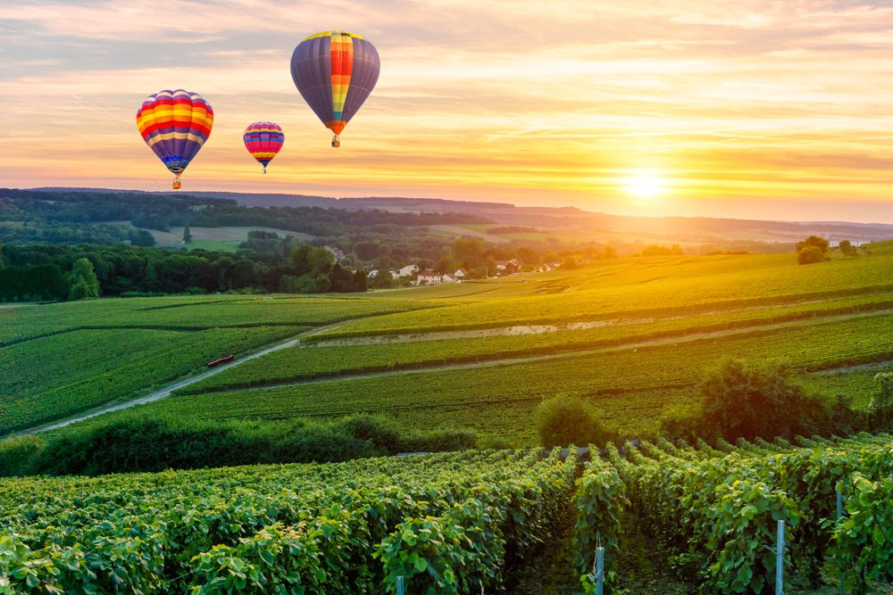Colourful hot air balloons flying over Champagne vineyards at sunset, Reims, France 