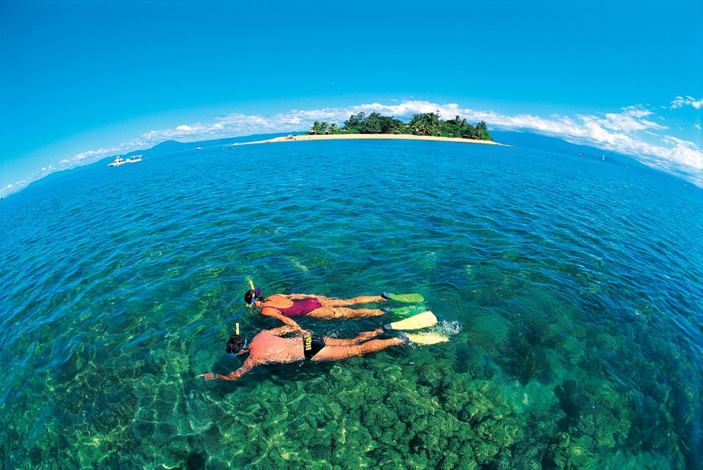 Snorkelling in the Low Isles, Great Barrier Reef, Queensland, Australia