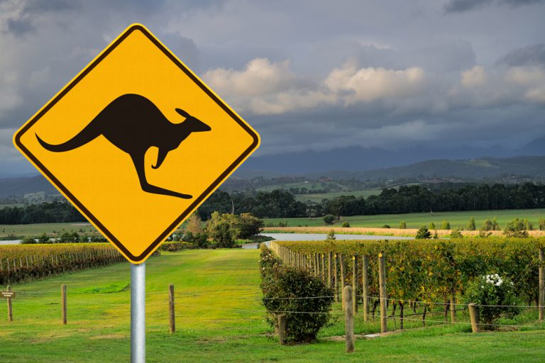 Vineyard along Yarra Valley wine tasting route and kangaroo road sign, Victoria, Australia