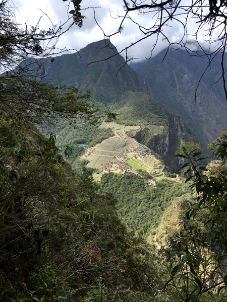 Aren Bergstrom - Machu Picchu Peeks Out through the Trees, Huayna Picchu, Peru