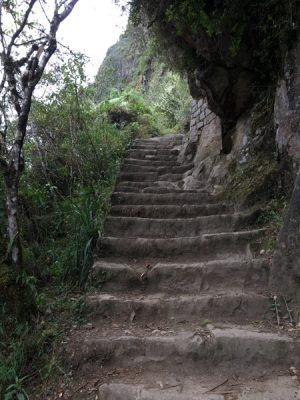 Aren Bergstrom - Steep Staircase of Huayna Picchu, Peru