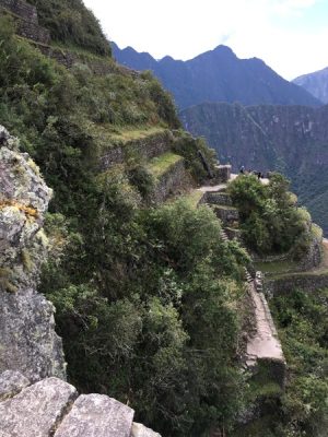 Aren Bergstrom - Terraces on the Top of Huayna Picchu, Peru