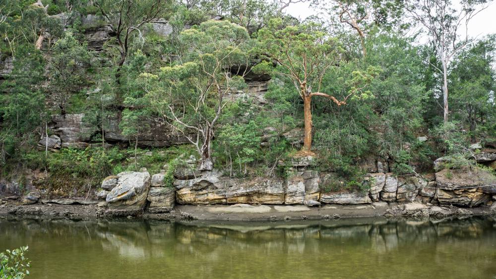 Cockle Creek at Ku-Ring-Gai Chase National Park, NSW, Australia 