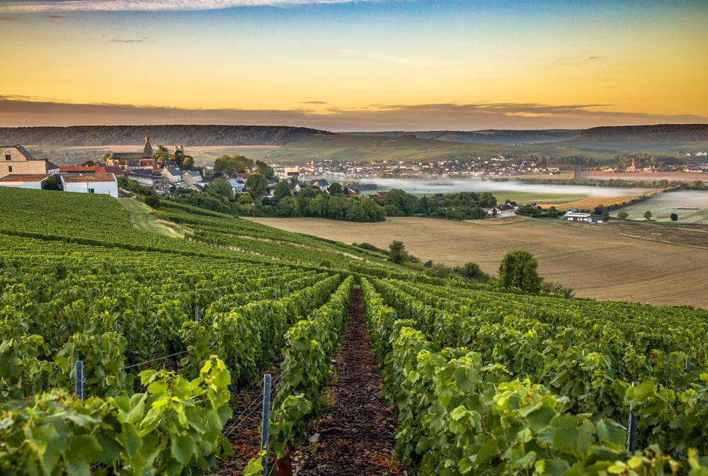 Getting The Most Out Of Champagne On Your France Vacation