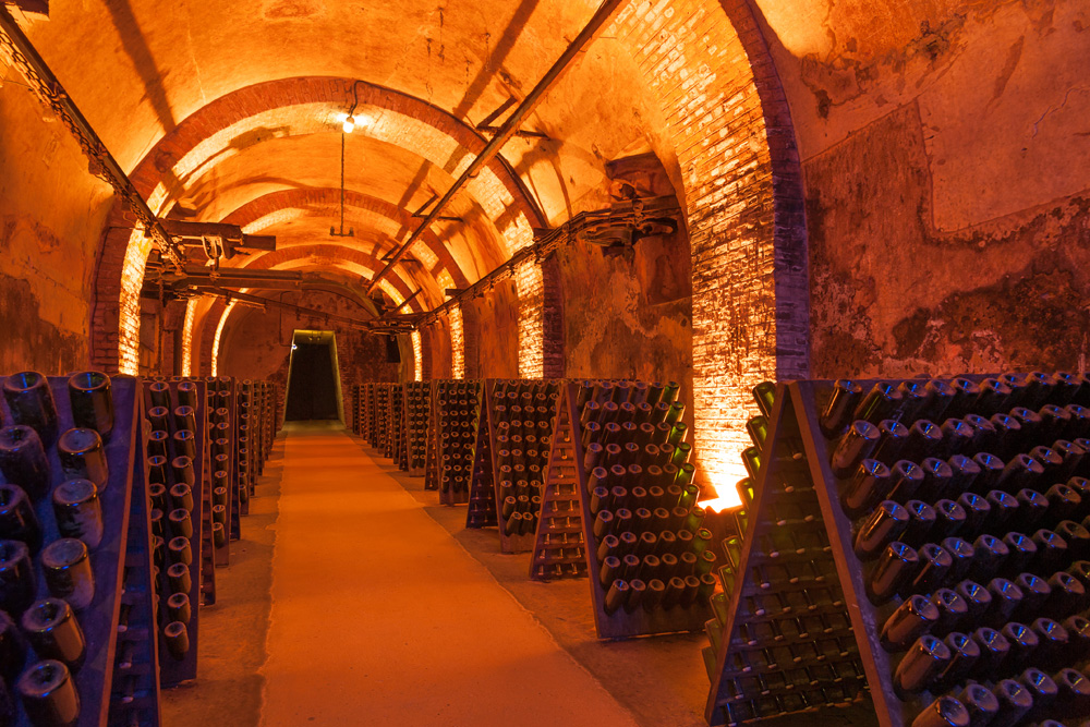 Rows of champagne in bottles during fermentation process in cellar, Reims, France 