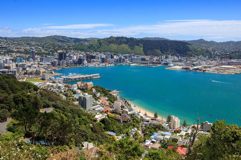 Wellington harbour and central business district downtown, New Zealand 