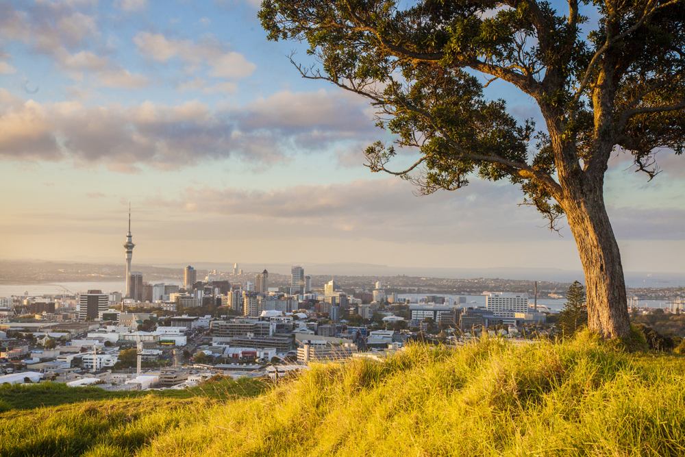 Beautiful city of Auckland in autumn, New Zealand 