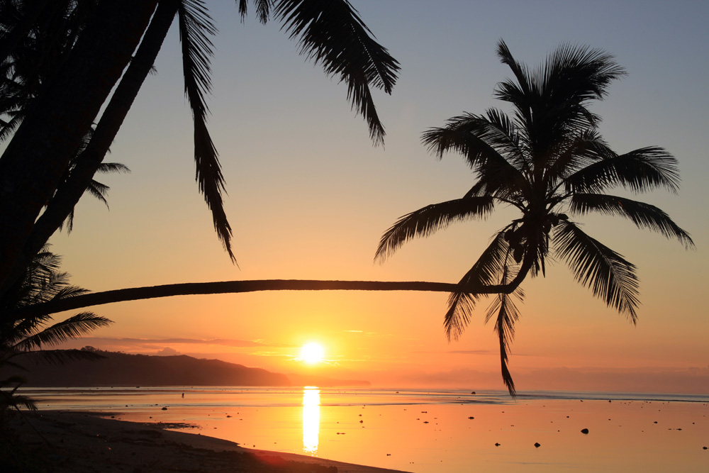 Sunset and palm trees on a beach in Fiji 