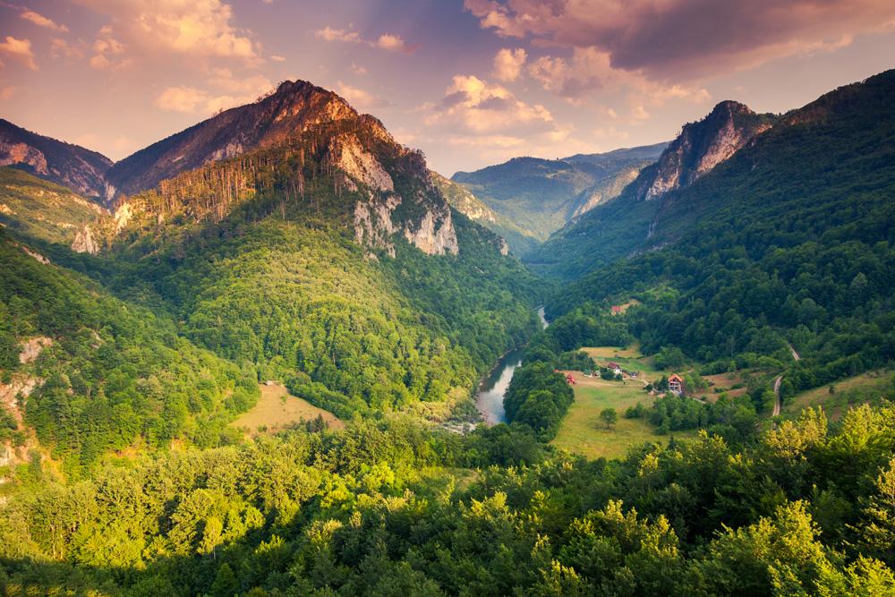 Tara River Gorge in Durmitor National Park, Montenegro 