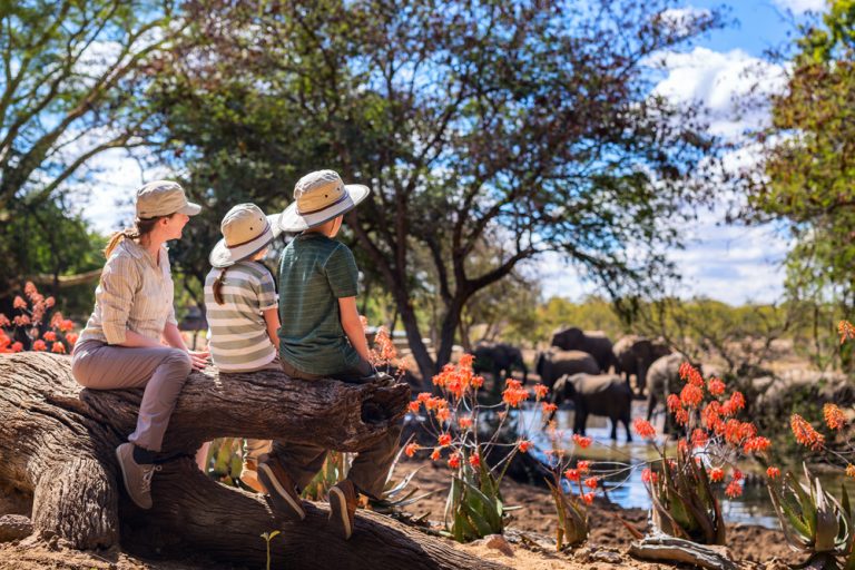 Family of mother and kids on African safari vacation enjoying wildlife viewing at watering hole, Africa