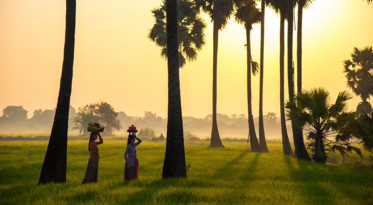 Indonesian women walk in rice field in the morning, Ubud, Indonesia