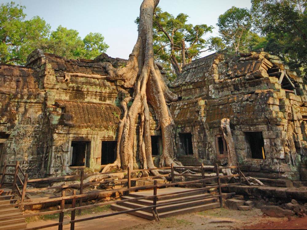 Ta Prohm in Angkor Wat temple complex, Siem Reap, Cambodia 