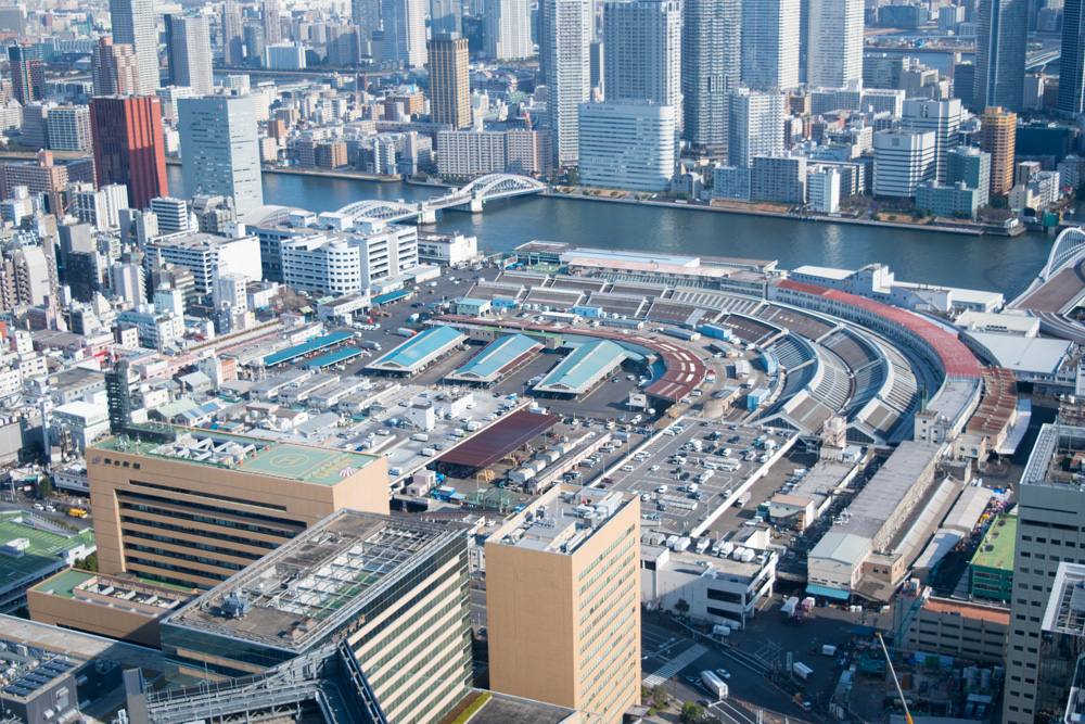 Aerial view of Tsukiji Fish Market, Tokyo, Japan 