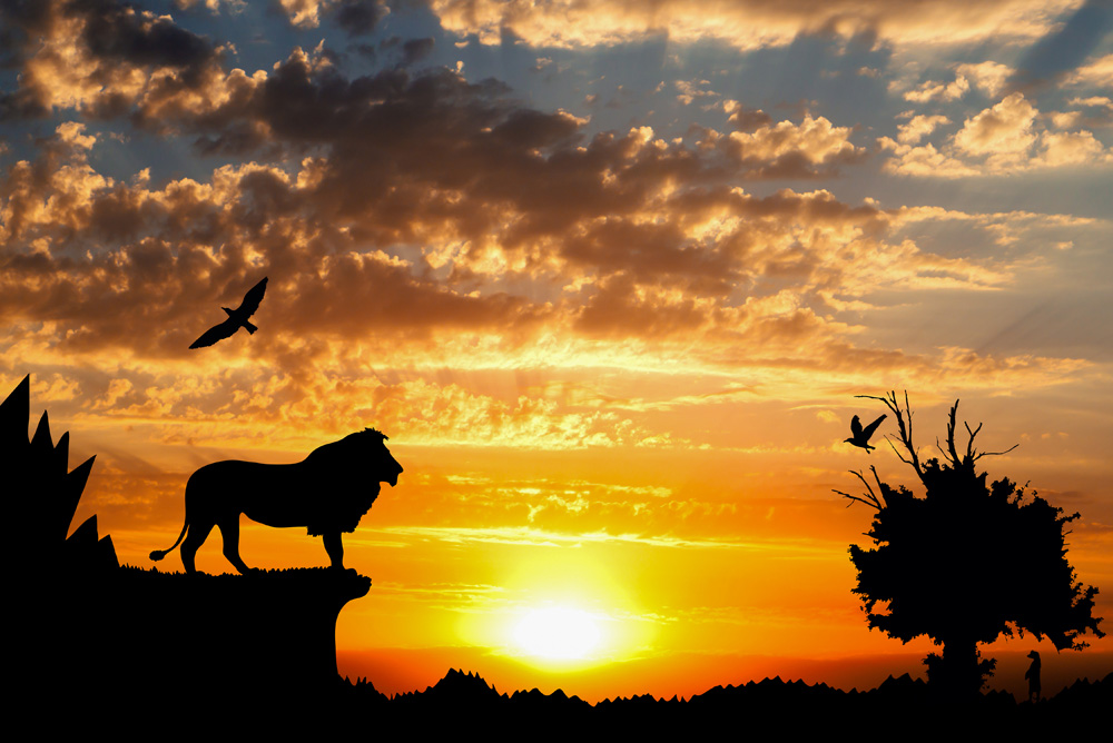 Lion King Sunset Background