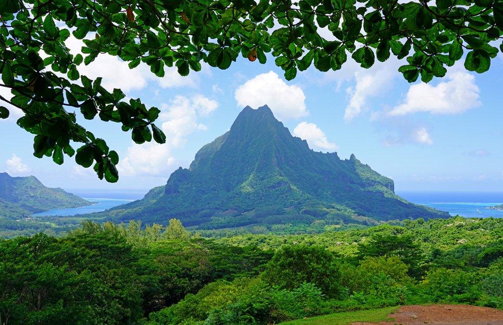 Overlooking Cook and Opunohu Bays in Moorea, Islands of Tahiti (French Polynesia)