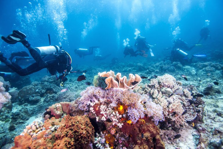 Scuba divers passing through colourful tropical coral reef with fishes, Great Barrier Reef, Queensland, Australia