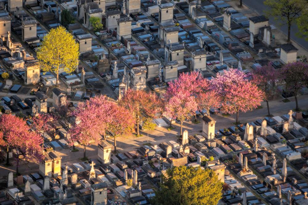 Aerial view of Montparnasse Cemetery in spring, Paris, France 