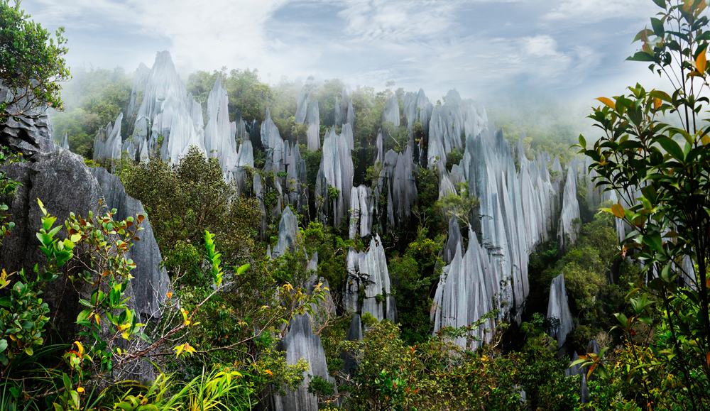 Pinnacles in Mulu National Park, Malaysia 