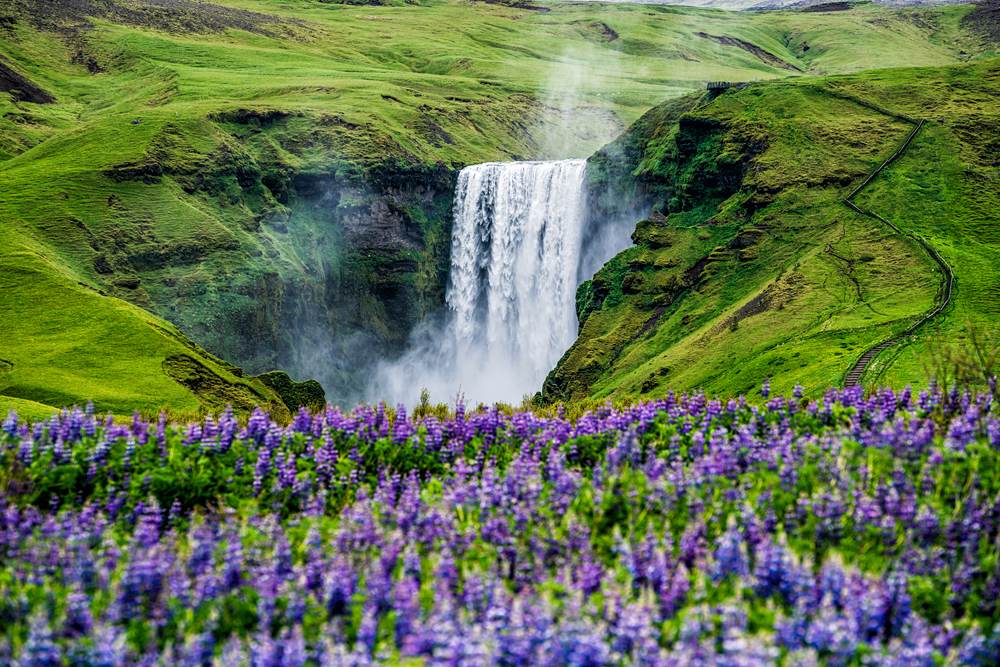 Beautiful summer scenery of majestic Skogafoss waterfall, Iceland 