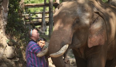 Pataya Elephant Farm, Thailand, Goway Travel