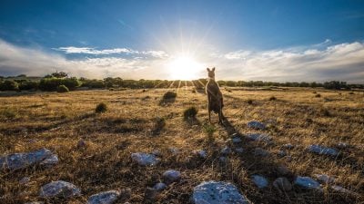 tourism australia vs new zealand