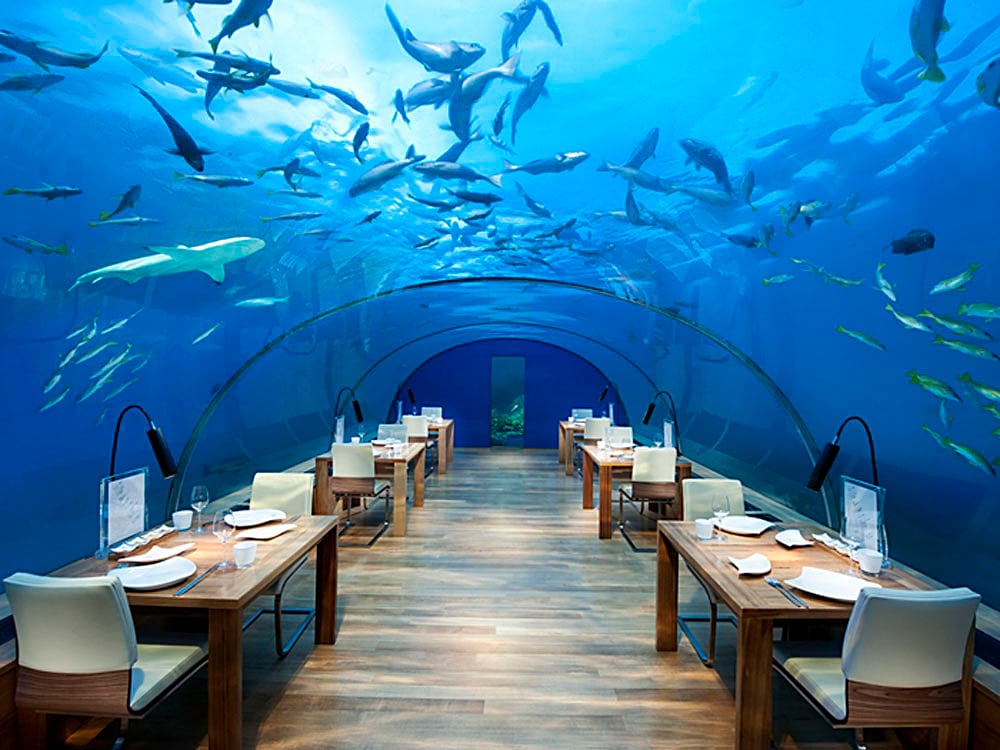 Ithaa Undersea Restaurant, Conrad Maldives Rangali Island, Maldives