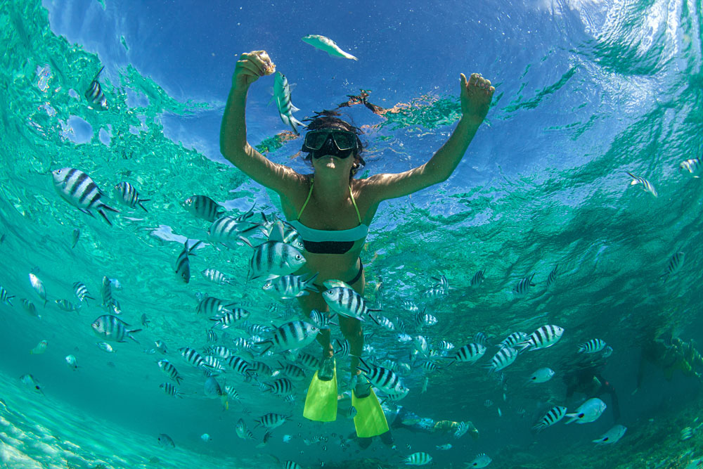 Snorkelling in the Indian Ocean, Mauritius