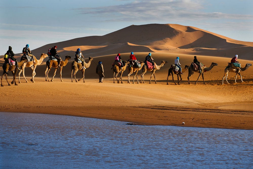 Caravan of Tourists on Camels in Desert, Morocco