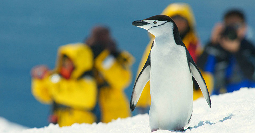 Photo Opportunities Abound in Antarctica