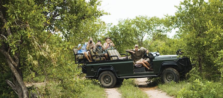 Leopard Crossing Road with Tourists in Jeep, Kruger National Park, South Africa