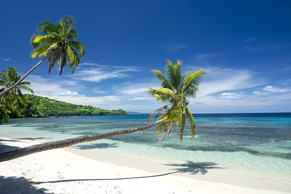 Palm trees on a white beach, Fiji