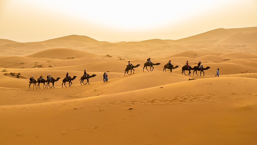 Sand Dunes and Group Camel Ride Near Merzouga, Morocco