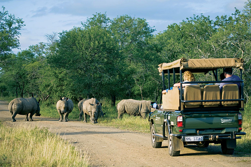 Game viewing in Hluhluwe-Imfolozi National Park