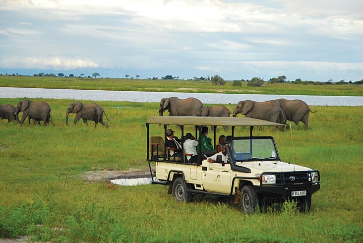 Chobe Game Sightings Elephants and Jeep, Botswana