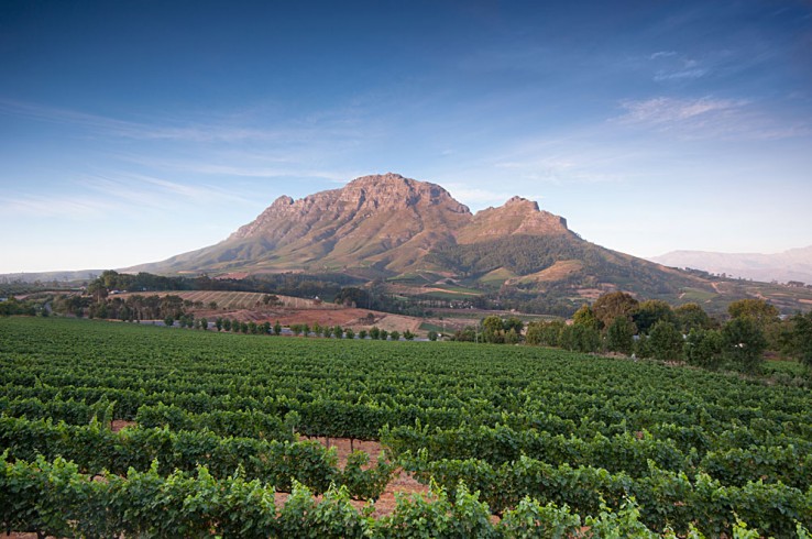 Franschhoek Wine Region, South Africa