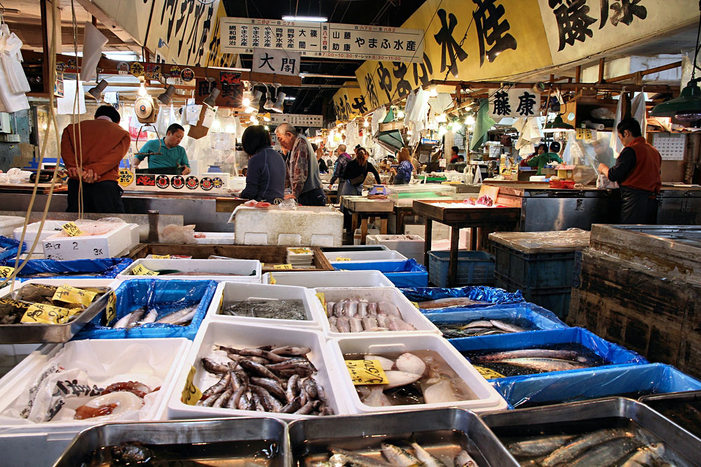 Shoppers Visit Tsukiji Fish Market in Tokyo, Japan
