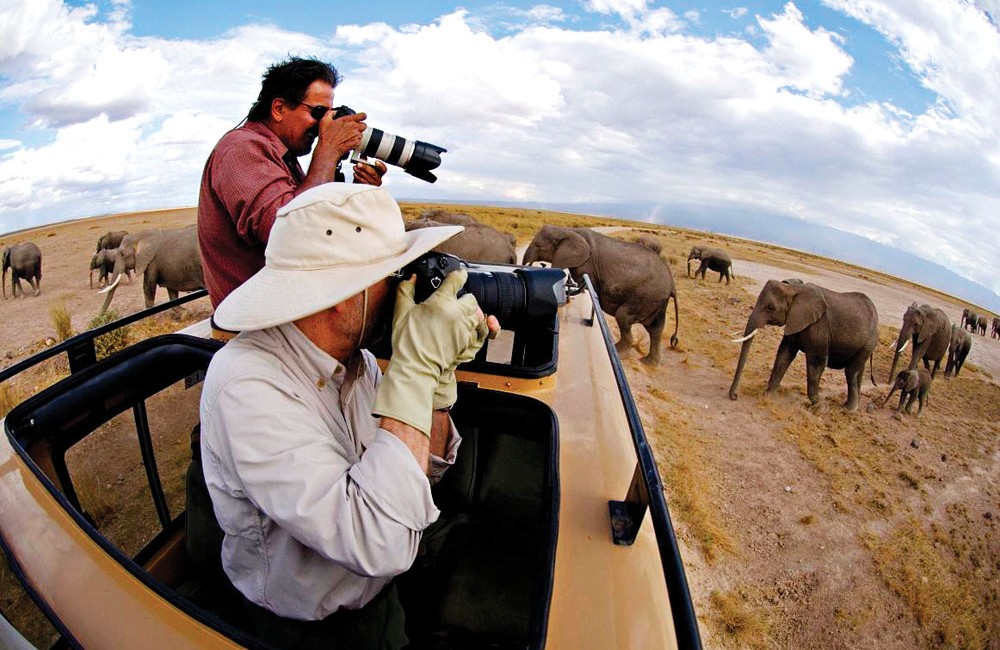 Photographing elephants in Africa