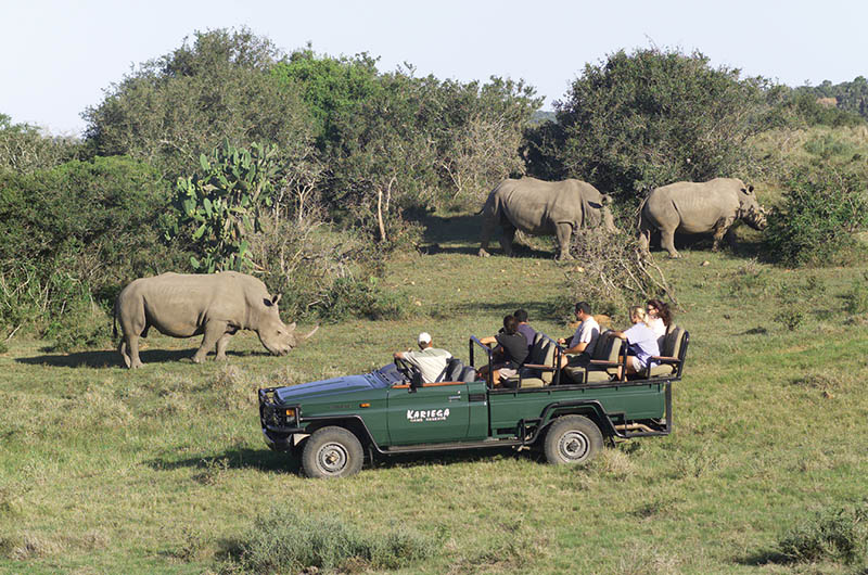 South Africa - Cape Highlights and Safari -  rhinos game drive